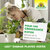 Azet Engrais plantes vertes Sprechende Bilder Bild 7_FR Azet Engrais plantes vertes Sprechende Bilder Bild 7_FR