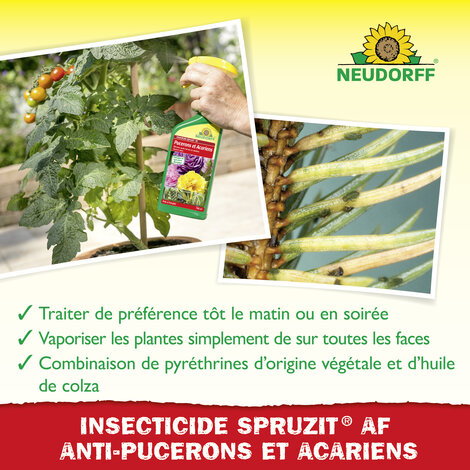 Insecticide Spruzit AF Pucerons et Acariens Sprechende Bilder Bild 4