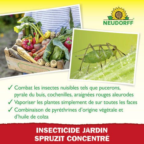 Insecticide Spruzit EC Insecticide Jardin Sprechende Bilder Bild 4