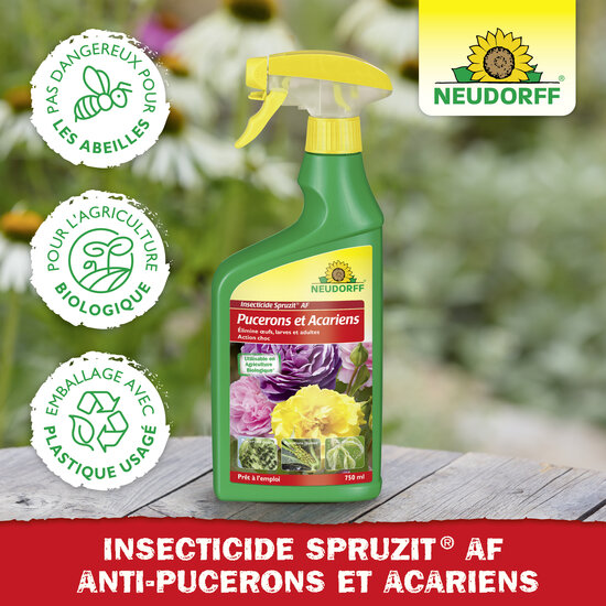 Insecticide Spruzit AF Pucerons et Acariens Sprechende Bilder Bild 5 Insecticide Spruzit AF Pucerons et Acariens Sprechende Bilder Bild 5