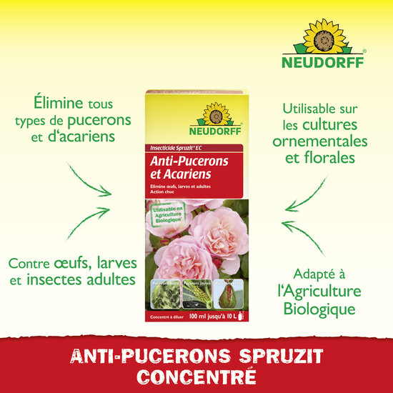 Insecticide Spruzit EC Anti-Pucerons et Acariens Concentré à diluer Sprechende Bilder