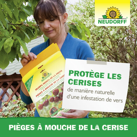 Pièges à Mouche de la cerise Sprechende Bilder Bild 6