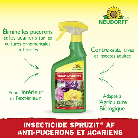 Insecticide Spruzit AF Pucerons et Acariens Sprechende Bilder Bild 2