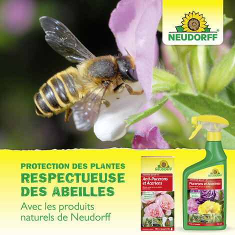 Insecticide Spruzit AF Pucerons et Acariens Sprechende Bilder Bild 7