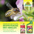 Insecticide Spruzit AF Pucerons et Acariens Sprechende Bilder Bild 7