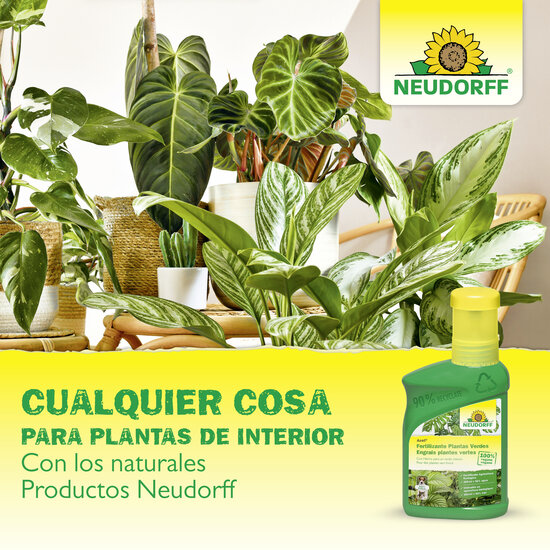 Sticker jaune Sprechende Bilder Bild 8_ES