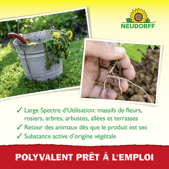 Finalsan AF Désherbant Polyvalent Sprechende Bilder Bild 4