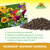 NeudoHum Terreau Universel Sprechende Bilder Bild 4_ES NeudoHum Terreau Universel Sprechende Bilder Bild 4_ES