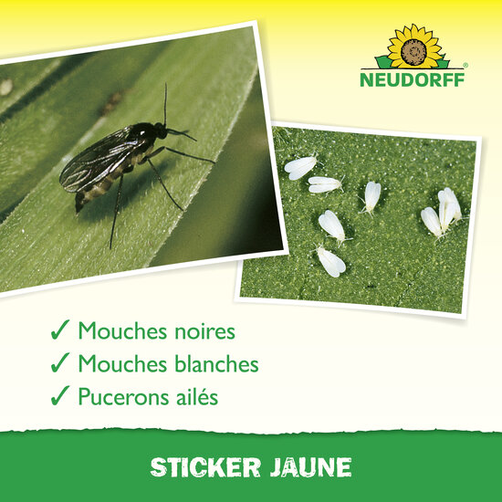 Sticker jaune Sprechende Bilder Bild 4