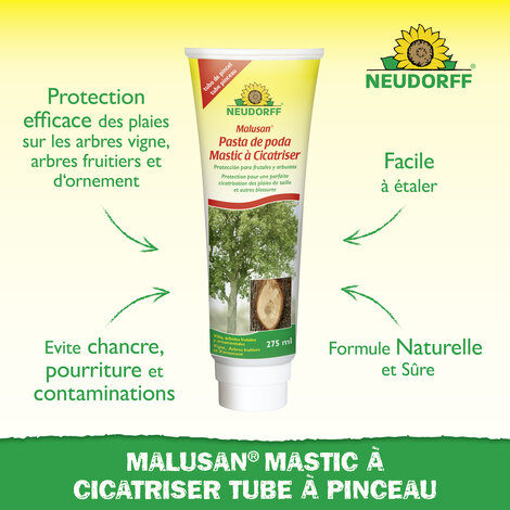 Mastic à Cicatriser Sprechende Bilder Bild 2