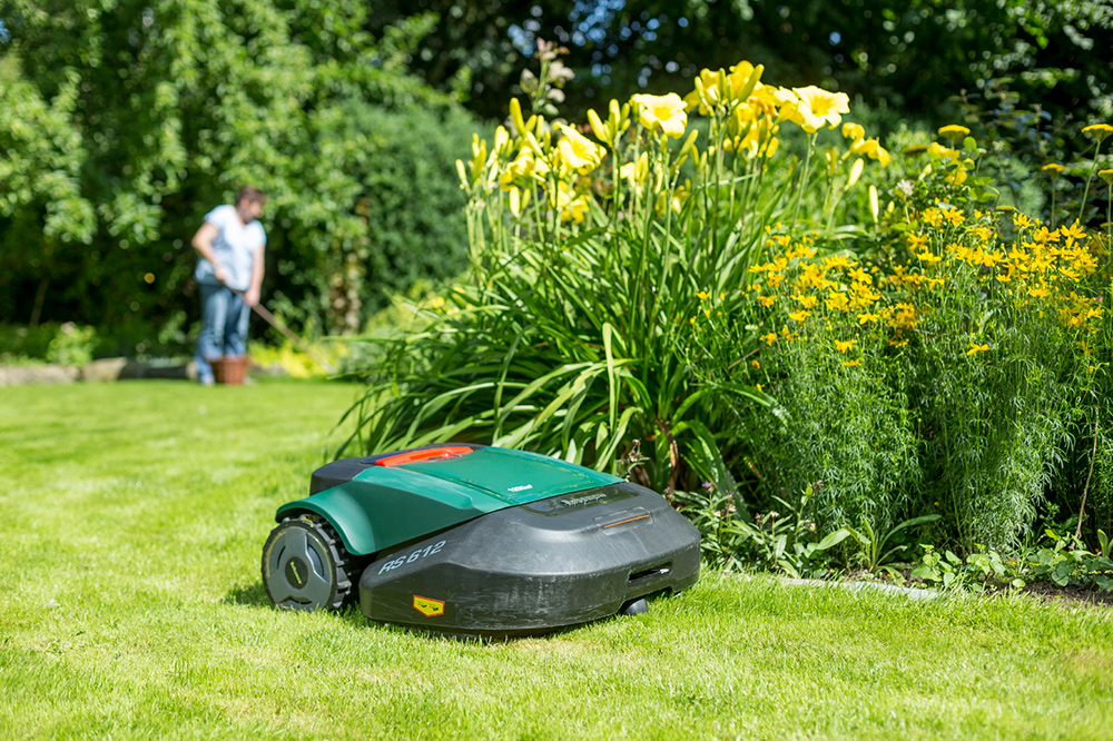 Robots de tonte en action