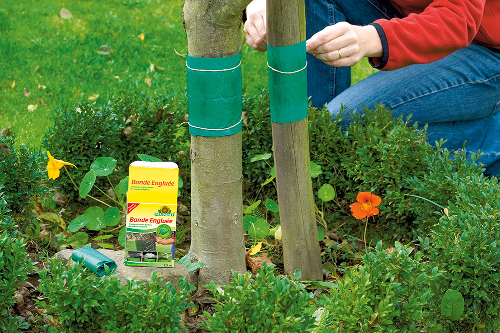 Pièges à fourmis extérieurs Neudorff