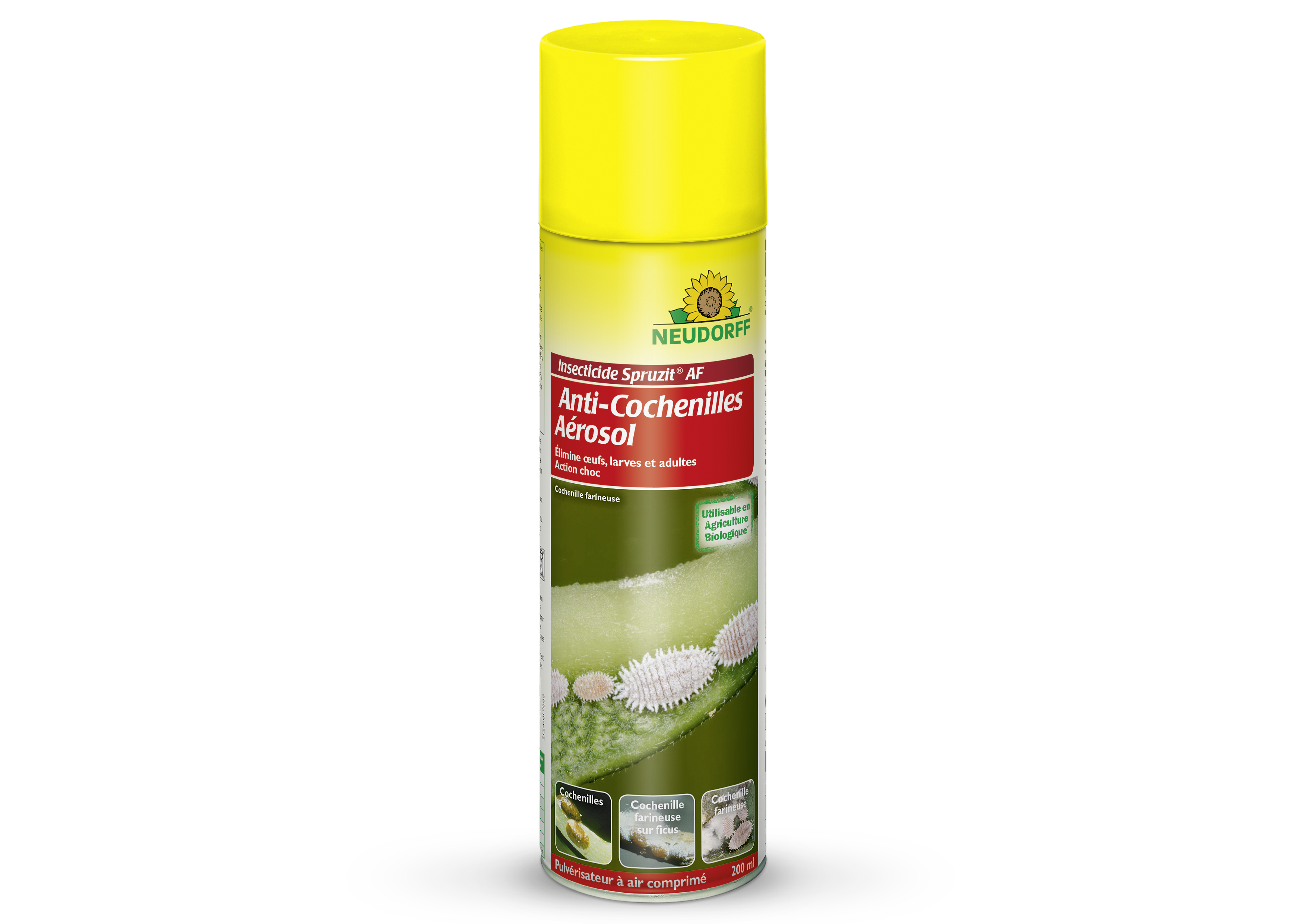 Insecticide Spruzit AF AntiCochenilles Aérosol — free download