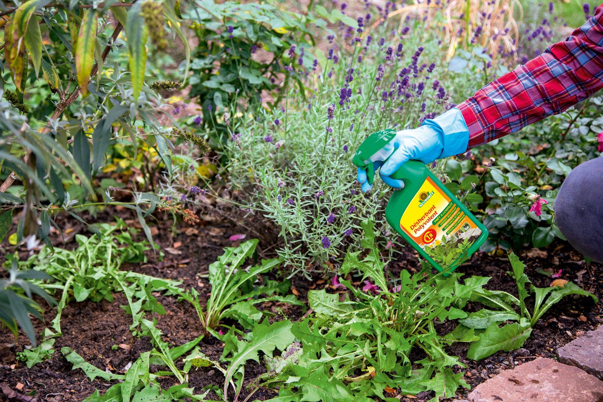 Neudorff : Insecticide Jardin Spruzit prêt à l'emploi