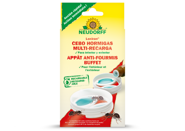 Appât Anti-Fourmis Buffet Appât Anti-Fourmis Buffet