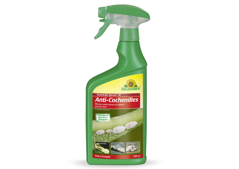 Insecticide Spruzit AF Anti-Cochenilles