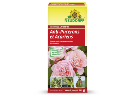 Insecticide Spruzit EC Anti-Pucerons et Acariens Concentré à diluer