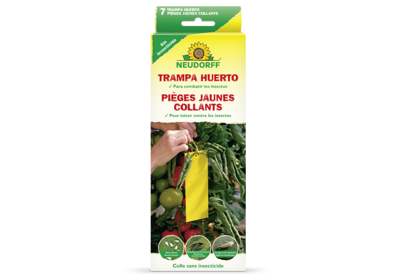 Piège Jaune Collant