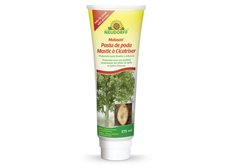 Mastic à Cicatriser