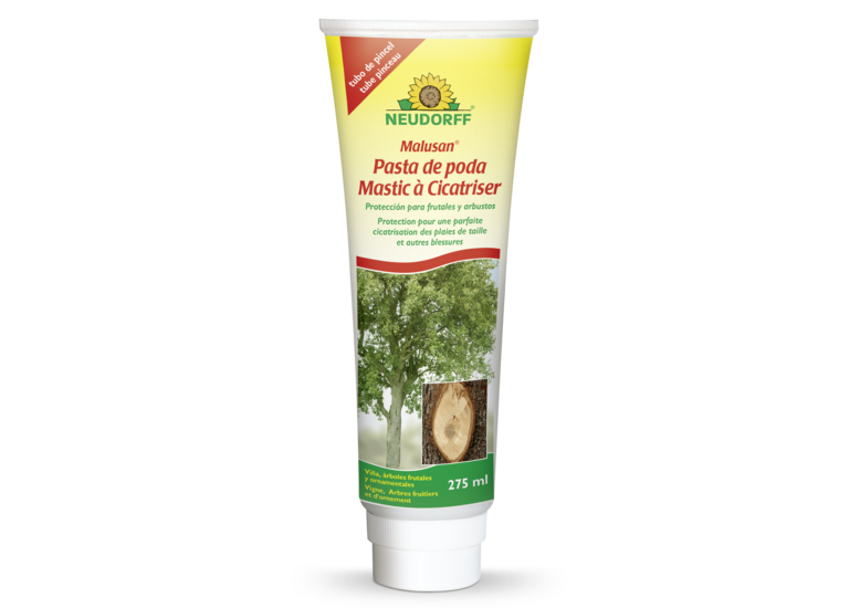 Mastic à Cicatriser