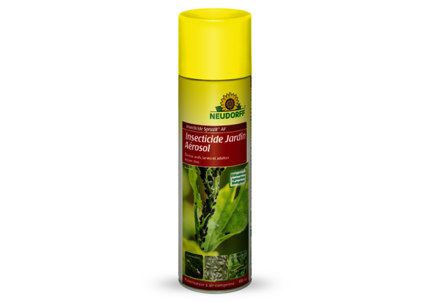 Insecticide Spruzit AF Insecticide Jardin Aérosol