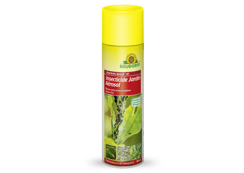 Insecticide Spruzit AF Insecticide Jardin Aérosol