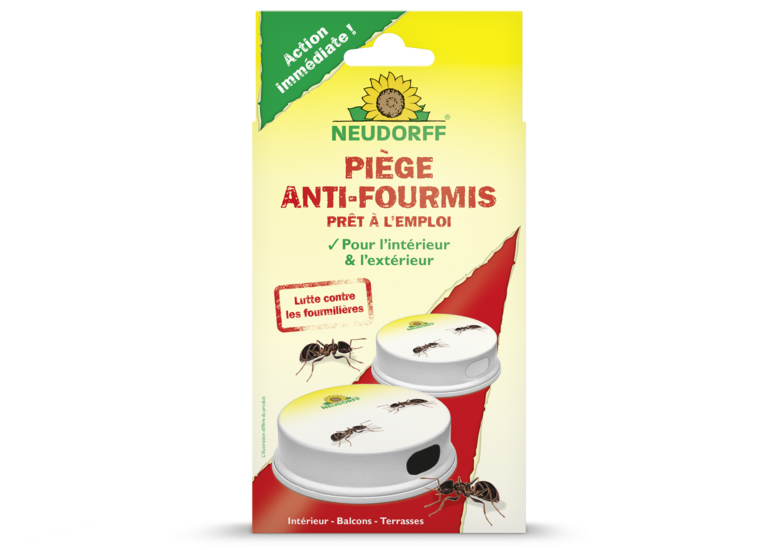 Piège anti-fourmis