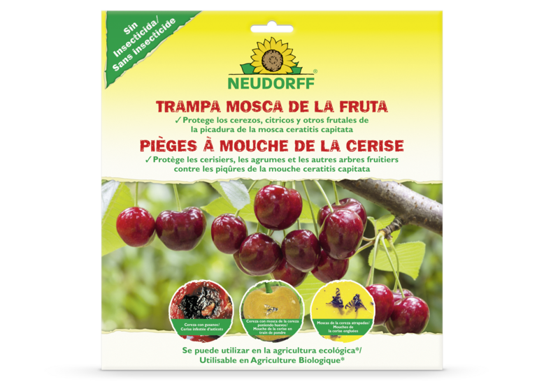 Pièges à Mouche de la cerise