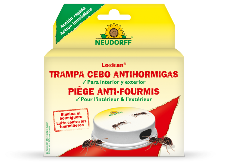 Loxiran Piège anti-fourmis Loxiran Piège anti-fourmis